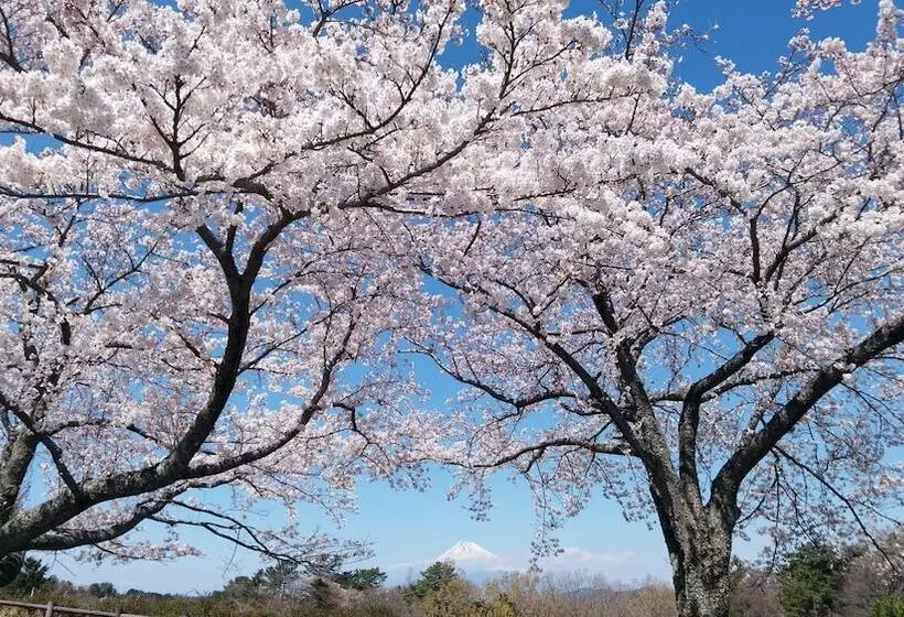 ホテル Laforet Shuzenji Sanshisuimei