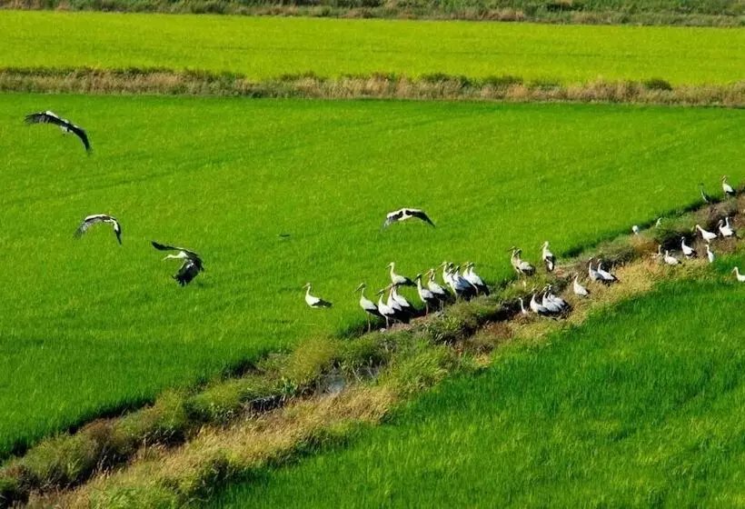 ホテル Sublime Comporta Country Retreat & Spa