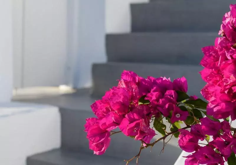 Hôtel Echoes Luxury Suites