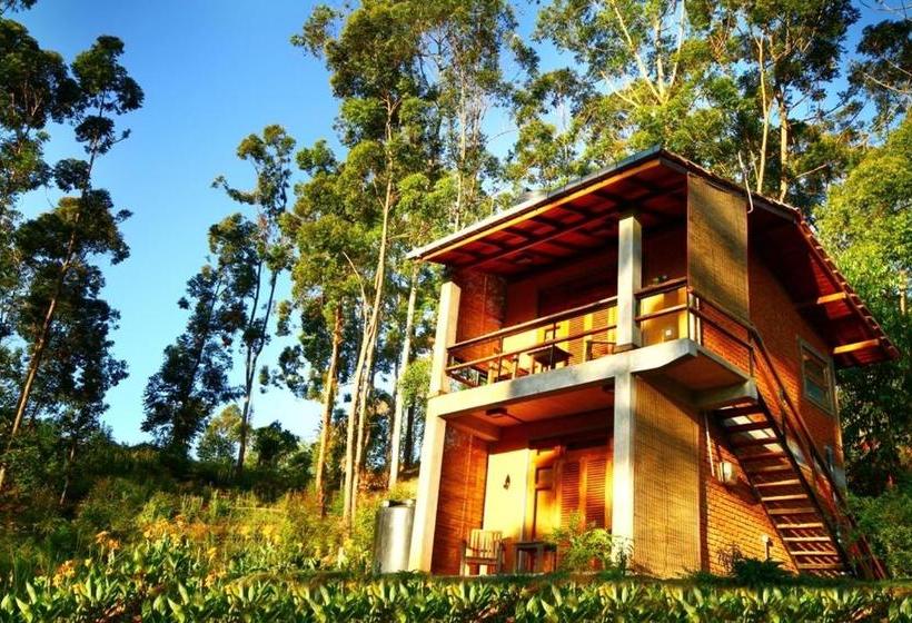 بنسيون Ella Okreech Cottages