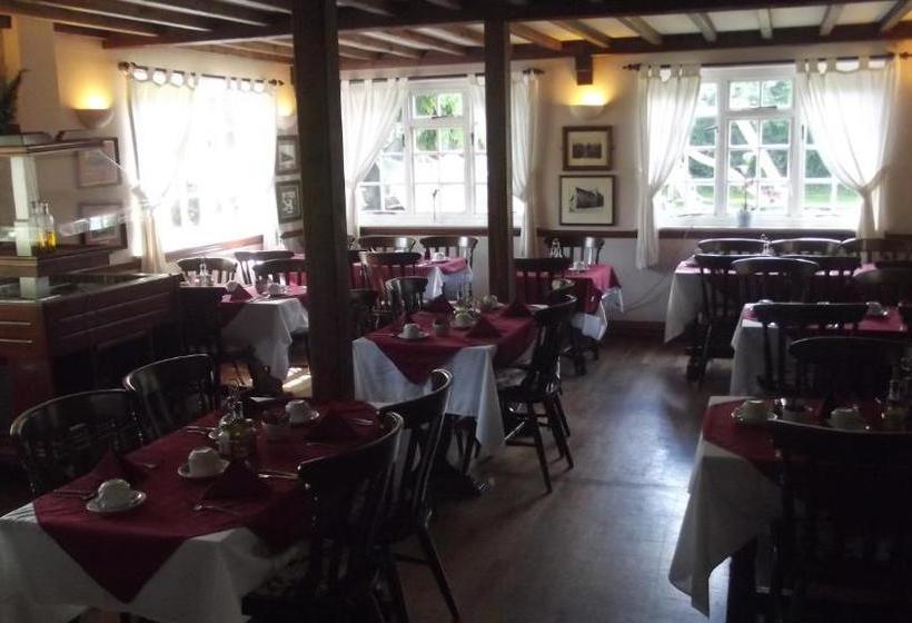 فندق صغير The Lord Byron Inn