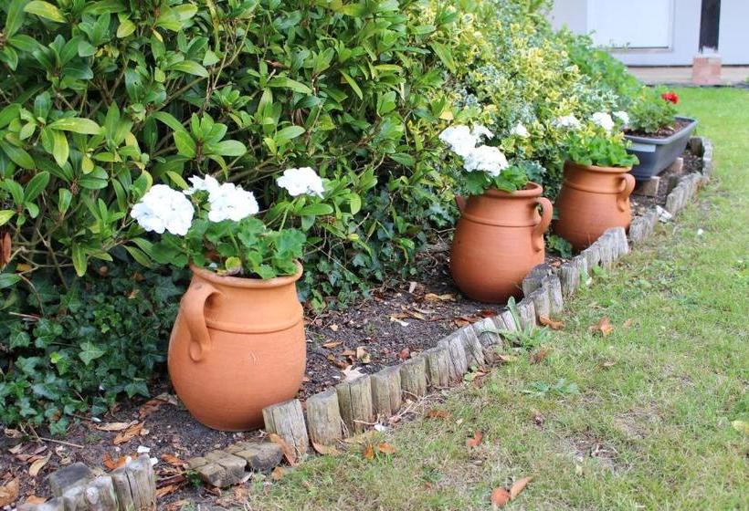 فندق صغير The Lord Byron Inn