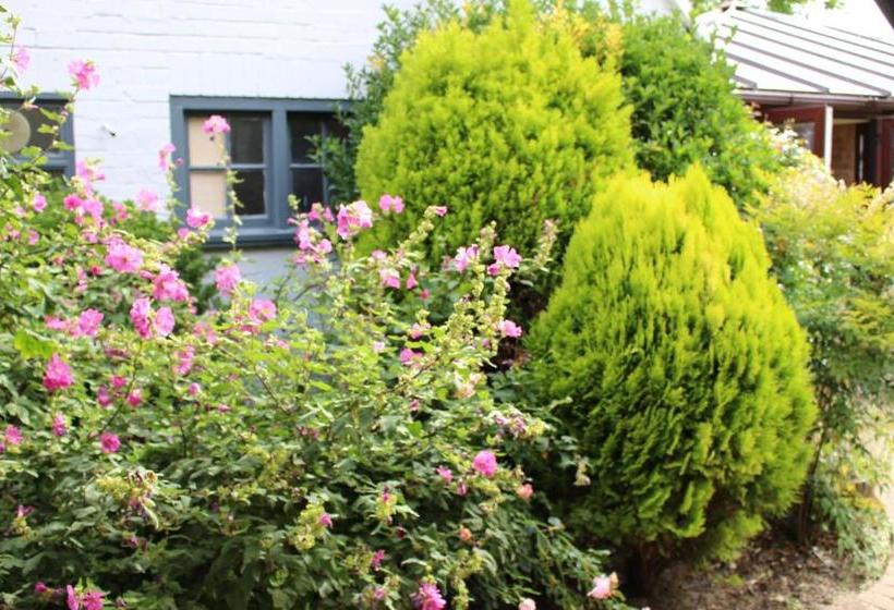 فندق صغير The Lord Byron Inn