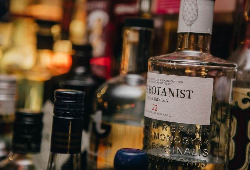 הוסטל The Sun Hotel & Bar