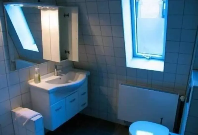 Pension Hemingway`s Heidelberg Hostel