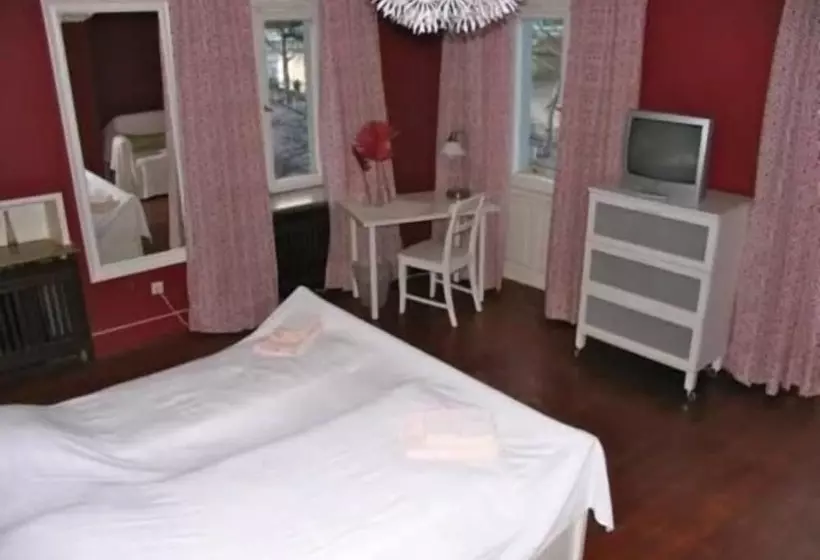 Pension Hemingway`s Heidelberg Hostel