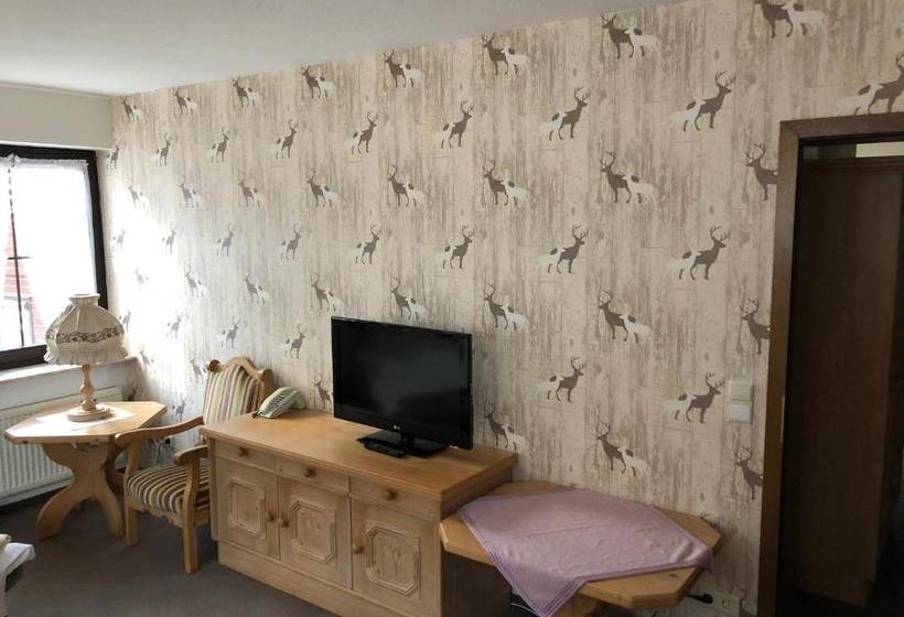 Пансион Landhotel Alte Aue