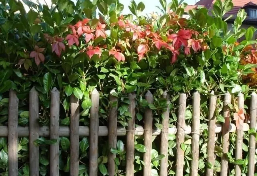 Pension Refugium überm Schwansee