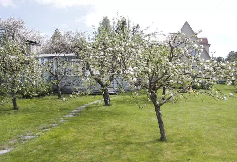 هاستل Villa Marleen