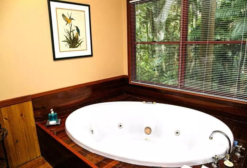 Amore On Buderim Rainforest Cabins