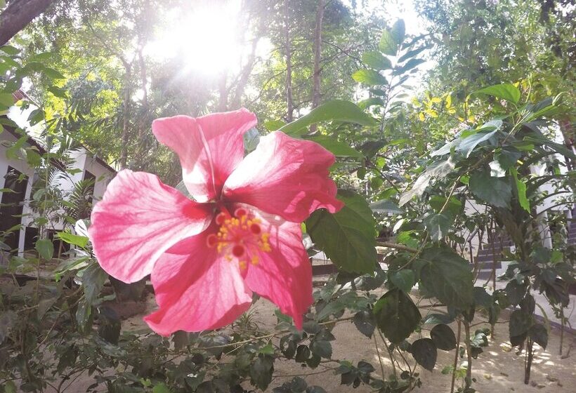 בית מלון כפרי Perhentian Tivoli Inn