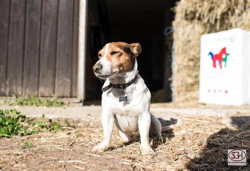 Отель San Giacomo Horses & Agriturismo