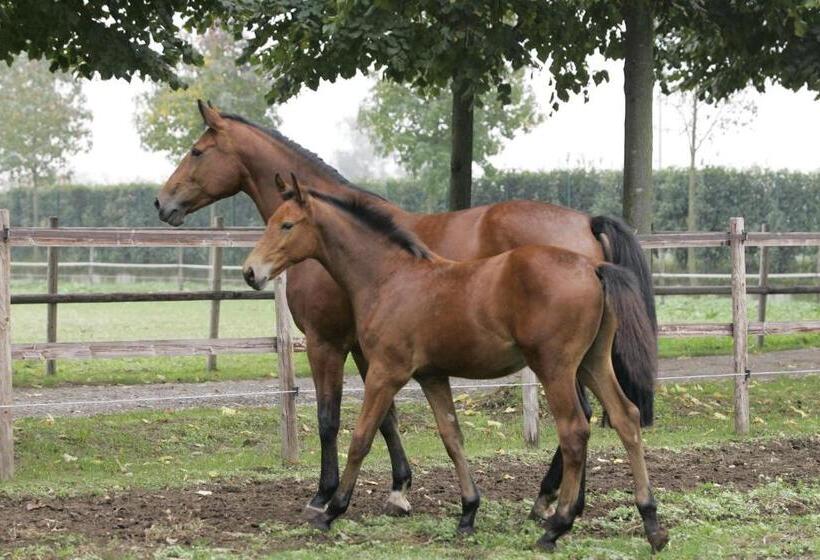 Отель San Giacomo Horses & Agriturismo