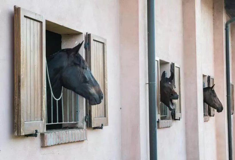 ホテル San Giacomo Horses & Agriturismo