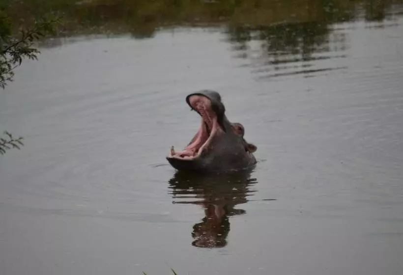 Majatalo Beyond Cui Bono