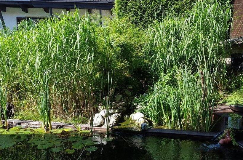 Pensão Gästehaus Tanneck