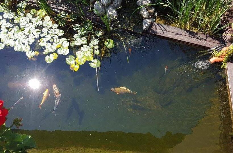 Pensão Gästehaus Tanneck