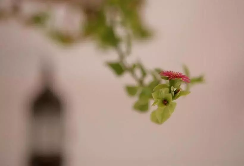 Majatalo La Colombe Blanche