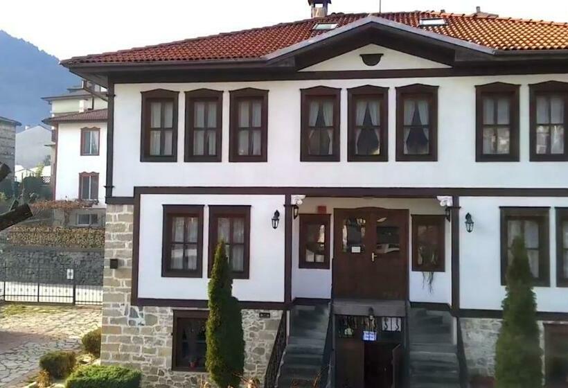 Pensjonat Petko Takov's House