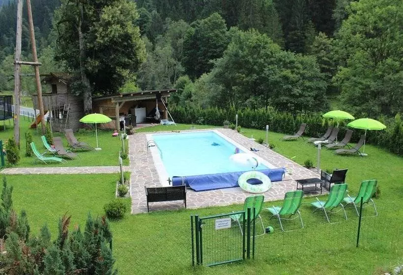 Schattaugut