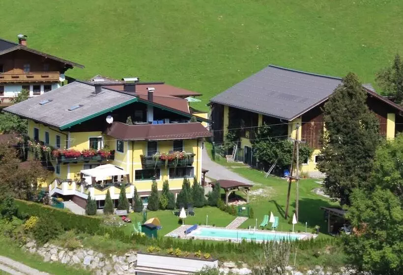 Schattaugut