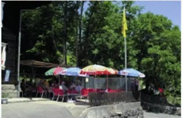 ユースホステル Gasthaus Bergheim