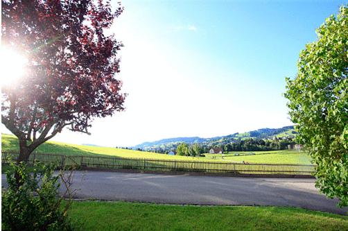 هتل Am Schönenbühl