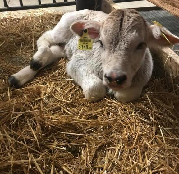 ホテル Ferienhof Nasnergut