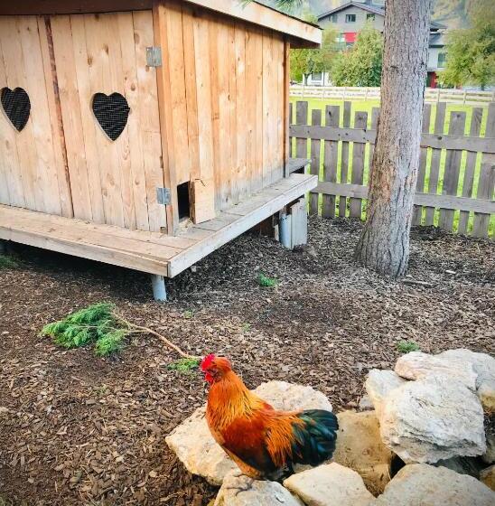 ホテル Ferienhof Nasnergut