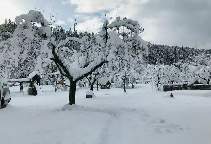 هتل Pension Zechnerhof