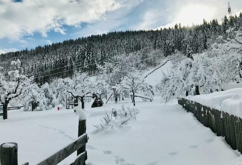 فندق Pension Zechnerhof