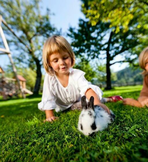 فندق Pension Zechnerhof