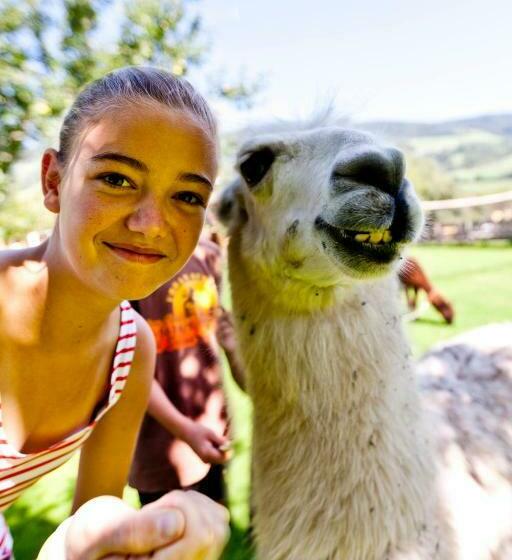 فندق Pension Zechnerhof