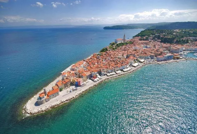 پانسیون Guesthouse Bajc