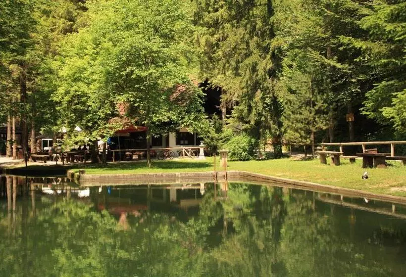 پانسیون Guesthouse Bajc