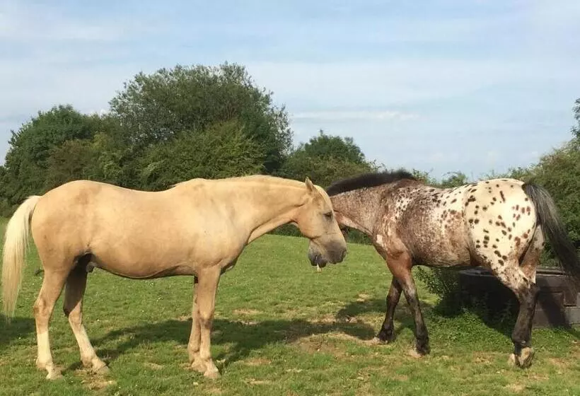Majatalo La Maison Aux Prés
