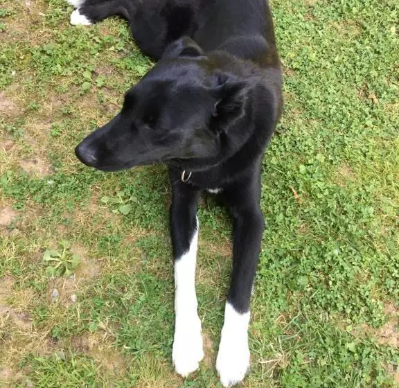 Majatalo La Maison Aux Prés