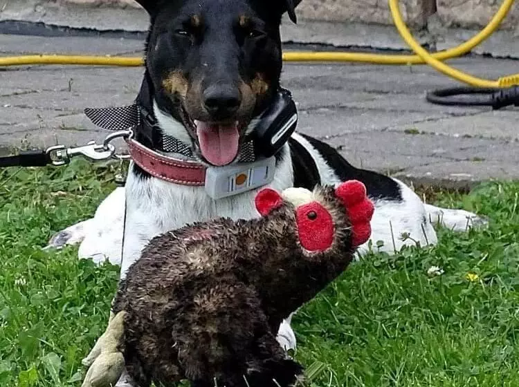 Majatalo La Maison Aux Prés