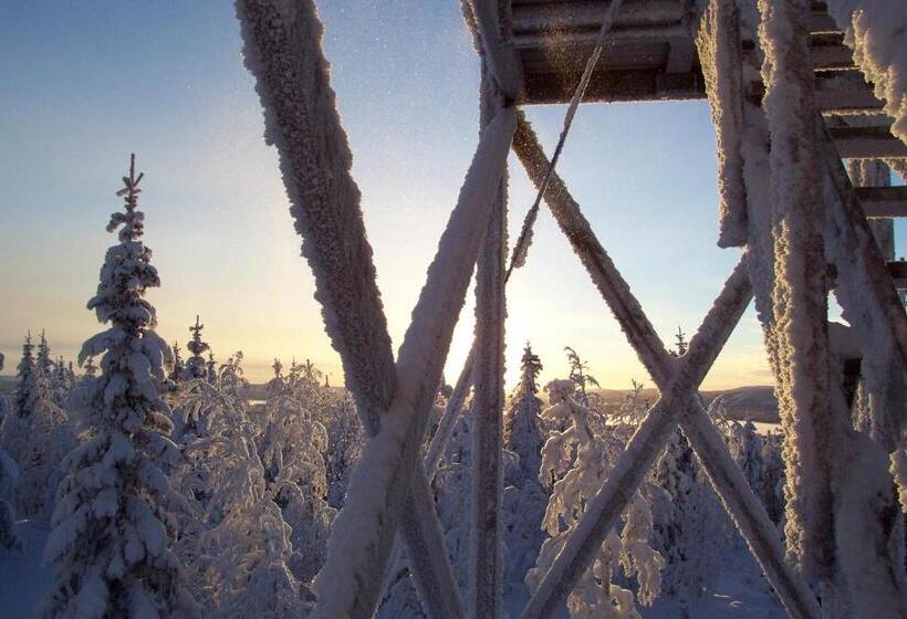 ペンション Lapland Lodge