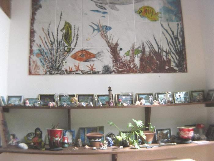 膳宿费 Pousada Brasil Tropical