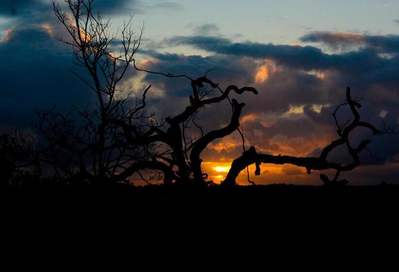 پانسیون Pousada Lua Cheia