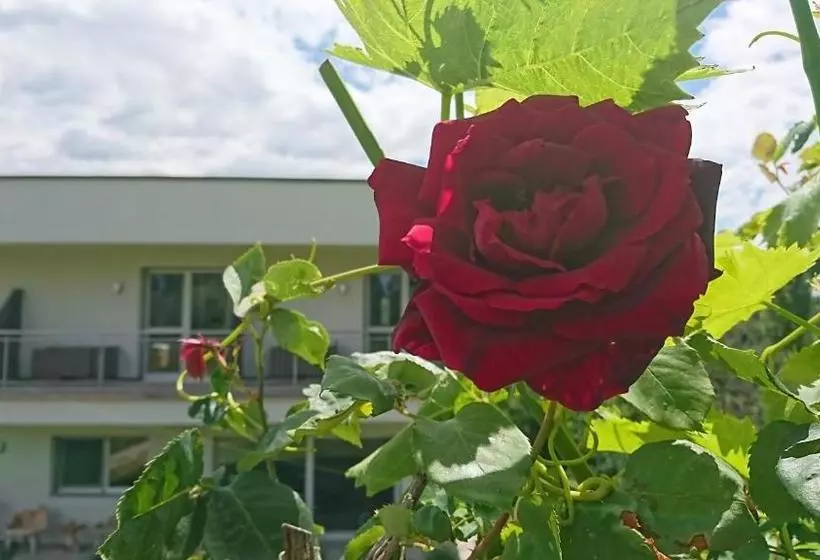 Majatalo Weingut Winzerzimmer Toso