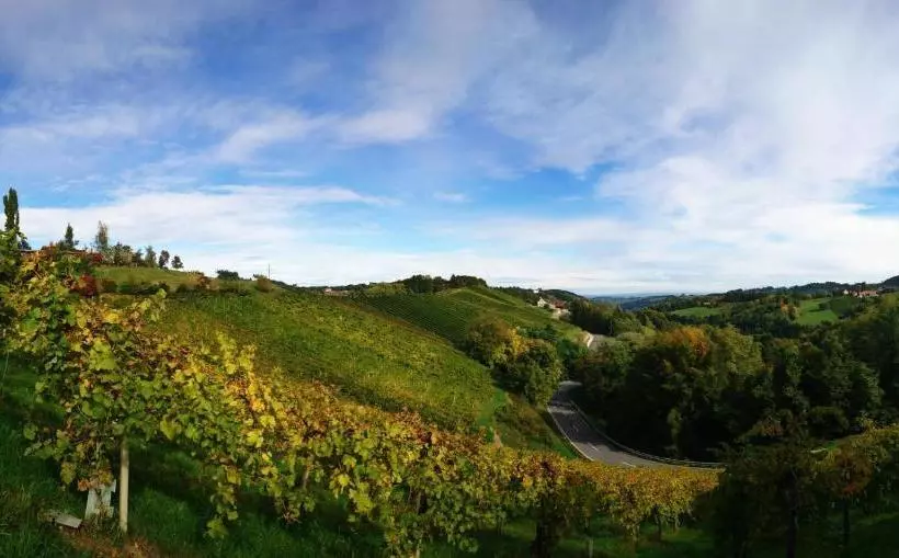 Majatalo Weingut Winzerzimmer Toso