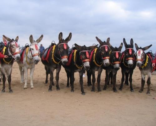 Bed and Breakfast The Sherwood