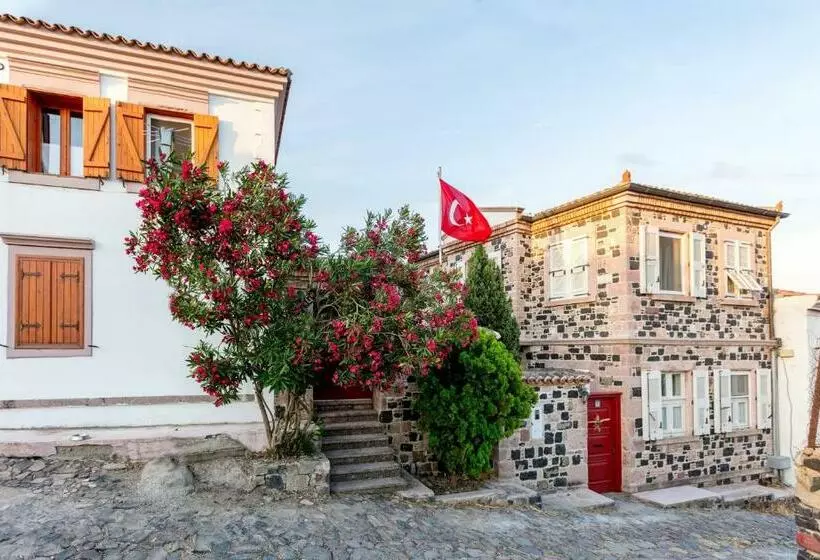 Begonvilla Evleri