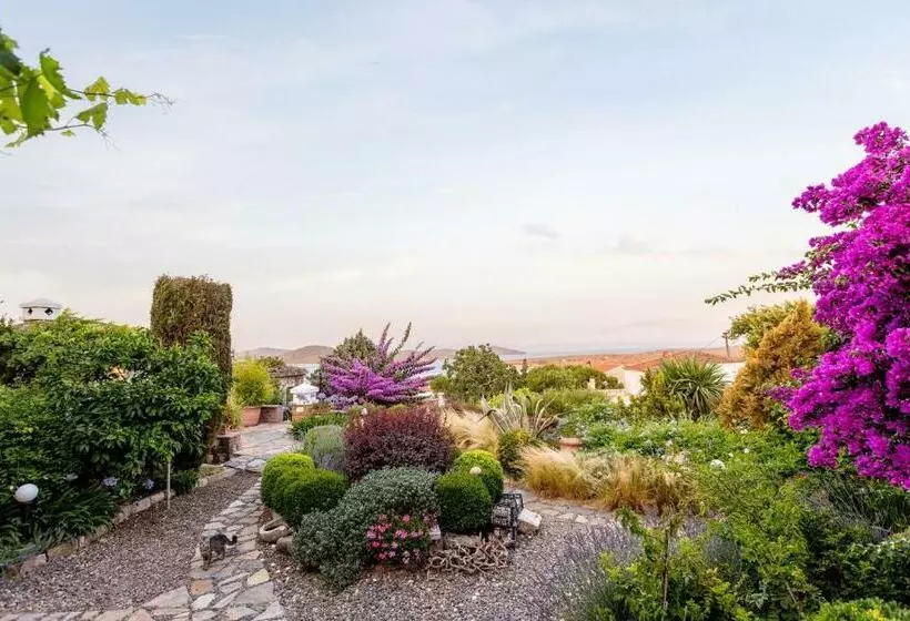 Begonvilla Evleri