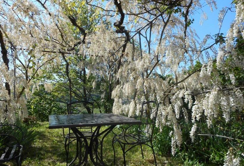 ホテル Agriturismo Cascina Serra