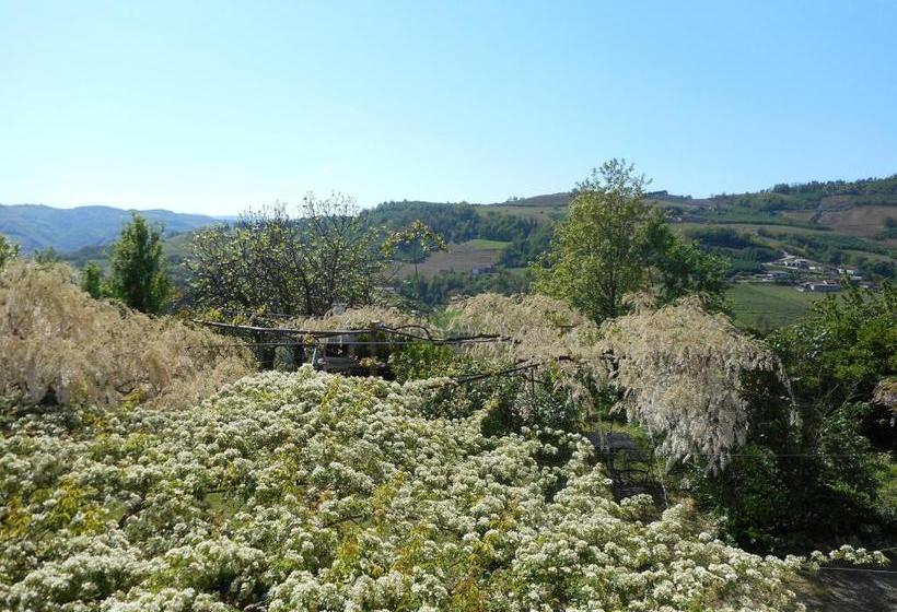 ホテル Agriturismo Cascina Serra