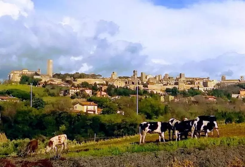 ホテル Agriturismo Il Poderino