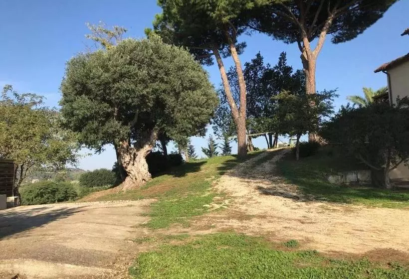 ホテル Agriturismo Il Poderino